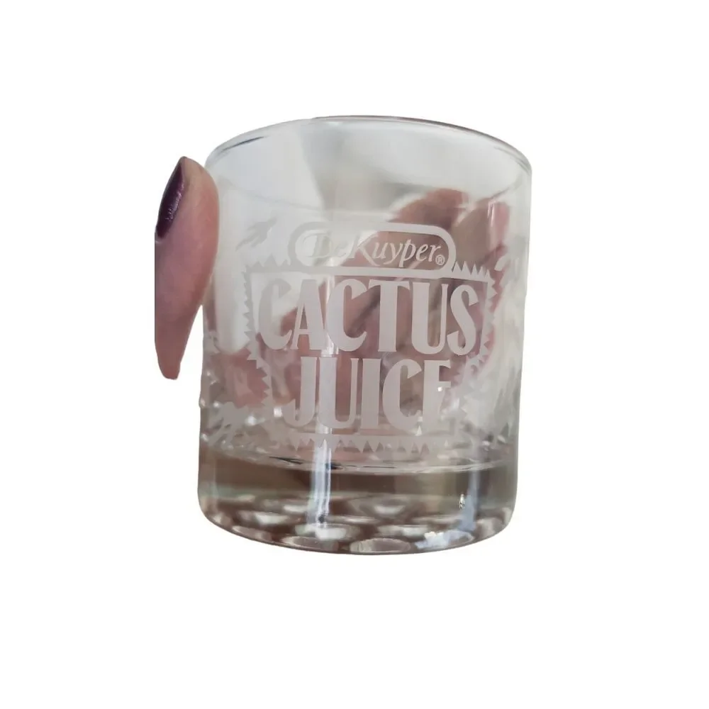Vintage DeKuyper Cactus Juice glass etched Cactus glasses‎ Set of 2 Highball Bar